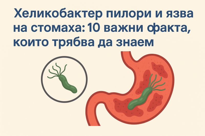 Хеликобактер пилори и язва на стомаха: 10 важни факта, които трябва да знаем