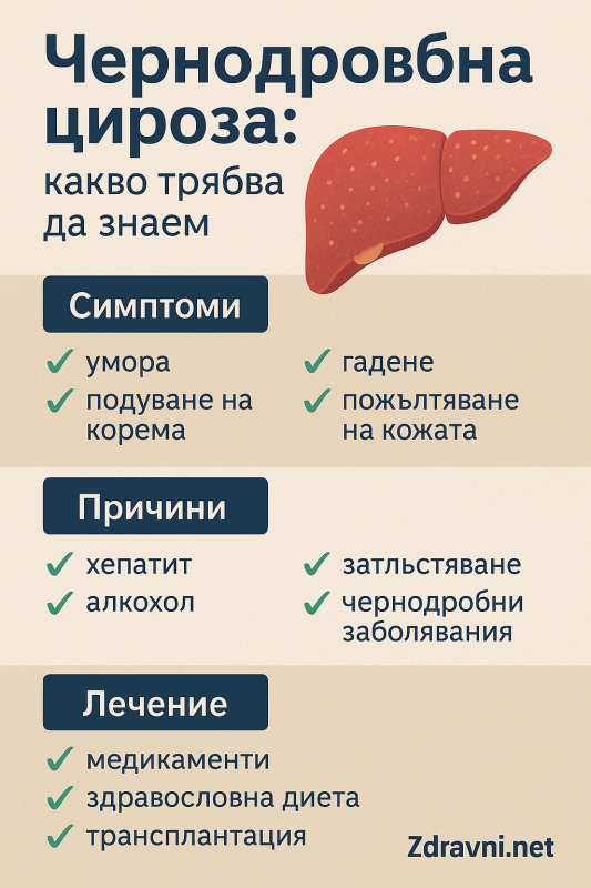 Чернодробна цироза: какво трябва да знаем – симптоми, причини, лечение