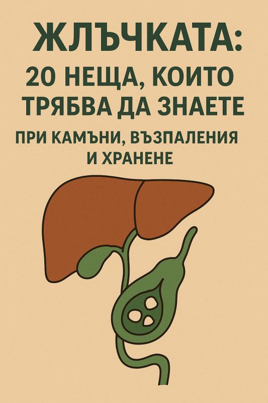 Жлъчката: 20 неща, които трябва да знаете при камъни, възпаления и хранене
