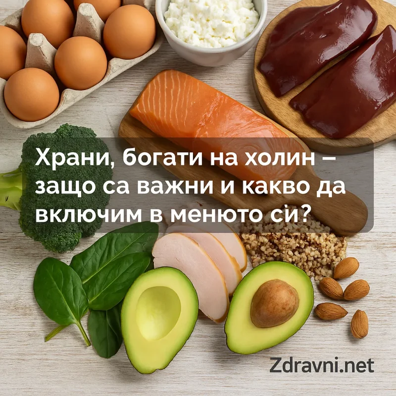 Храни богати на холин – защо са важни и какво да включим в менюто си?